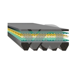36200346